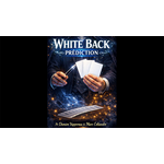 White Back Prediction by Damien Vappereau and Marc Céliandre