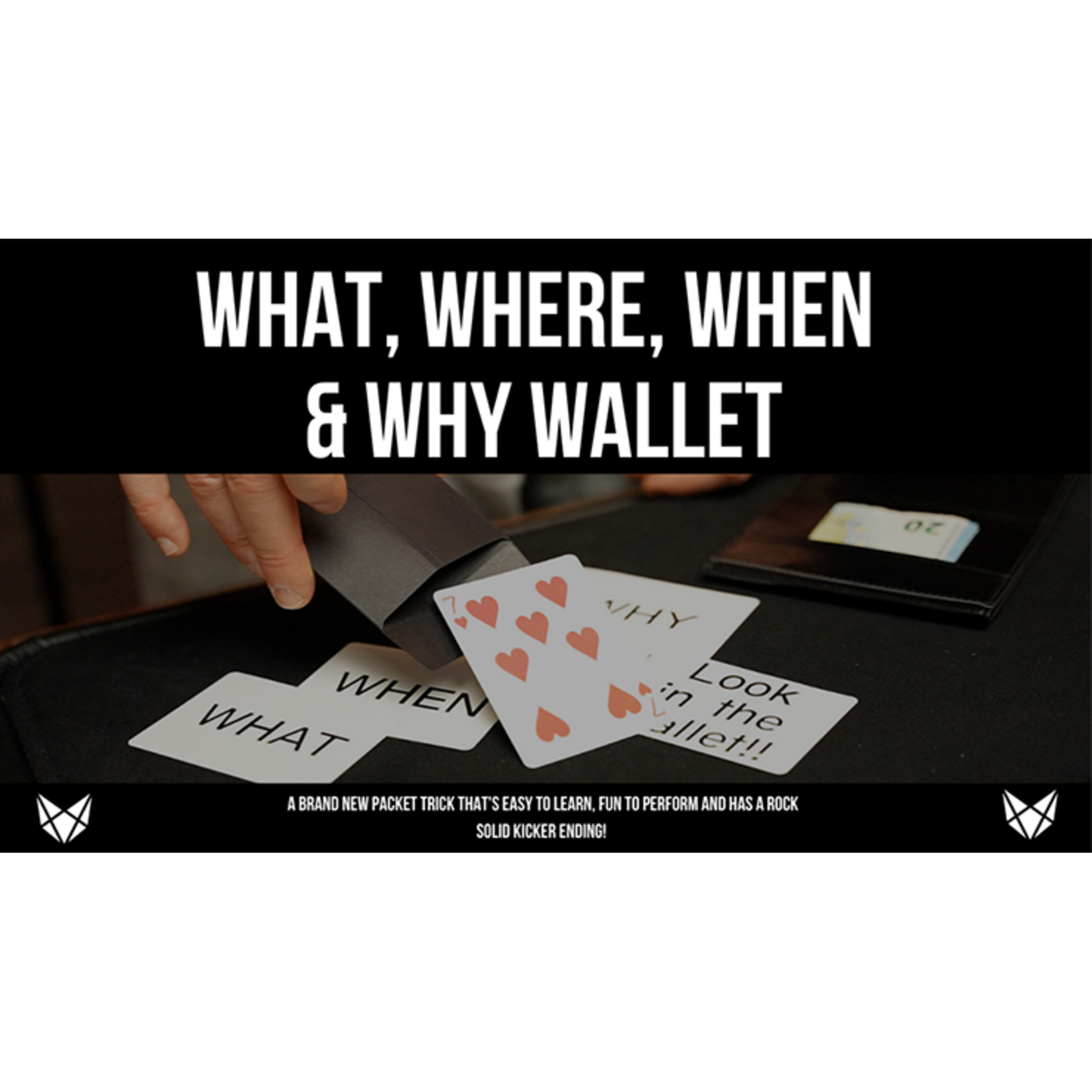 What, Where, When and Why by Vulpine