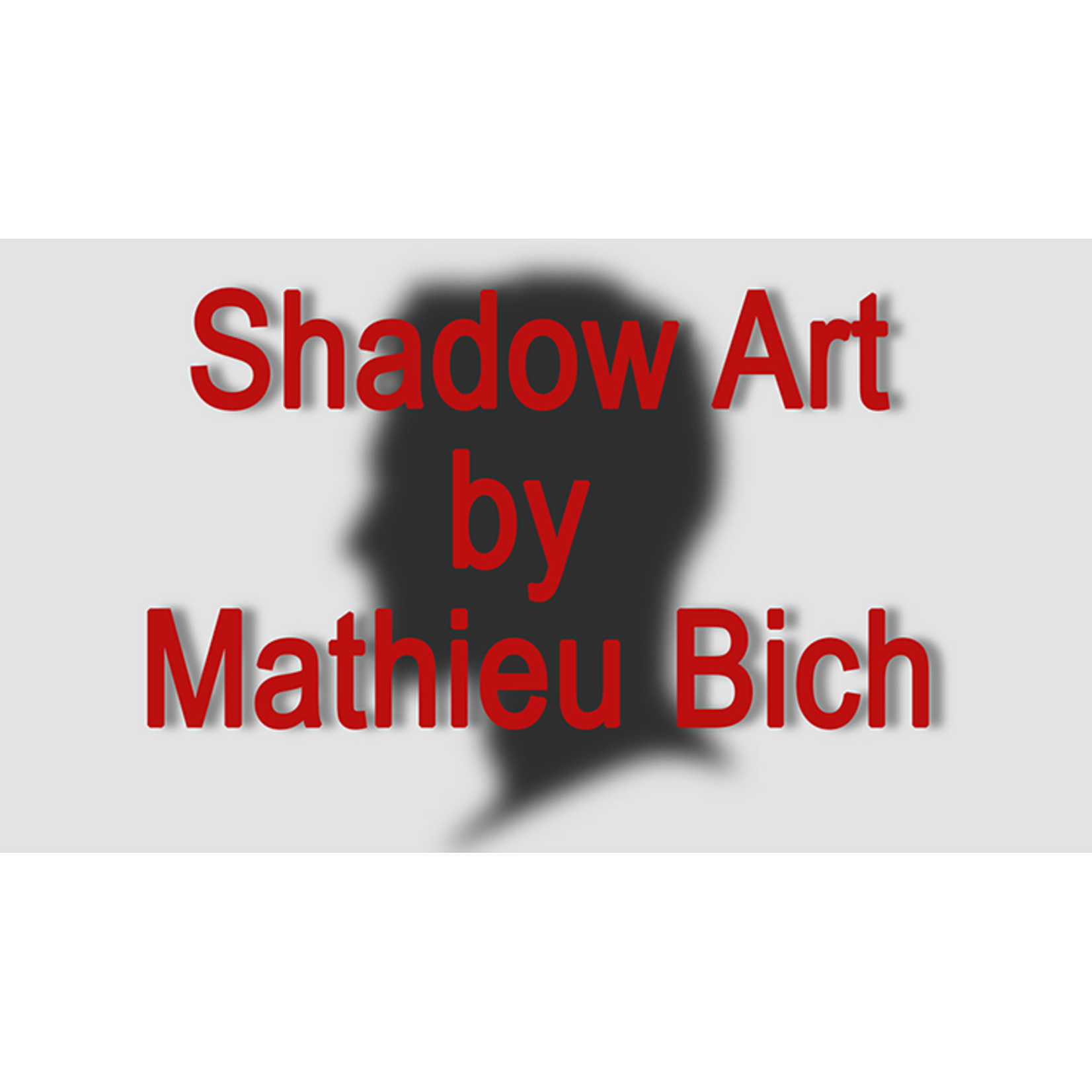 Shadow Art (Bat Man) by Mathieu Bich