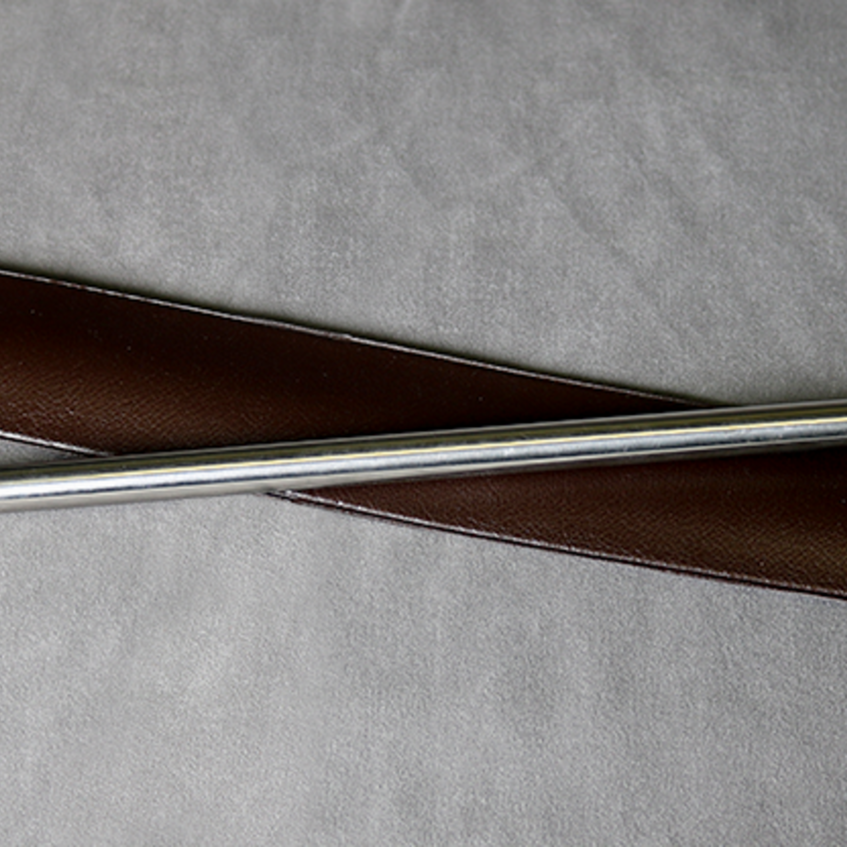 Silver Scepter