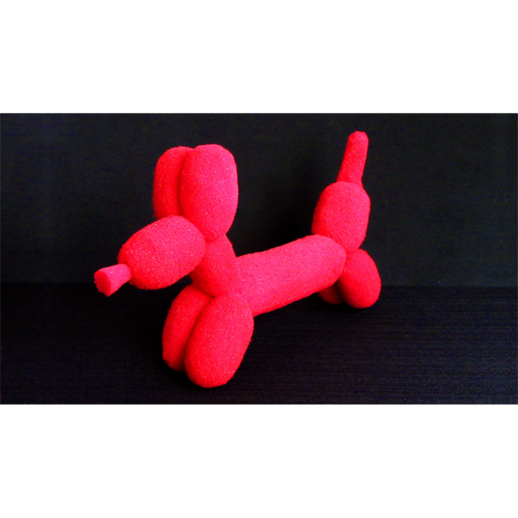 Sponge Balloon Dog by Alexander May