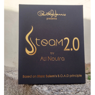 Steam 2 - Ali Nouira & Paul Harris