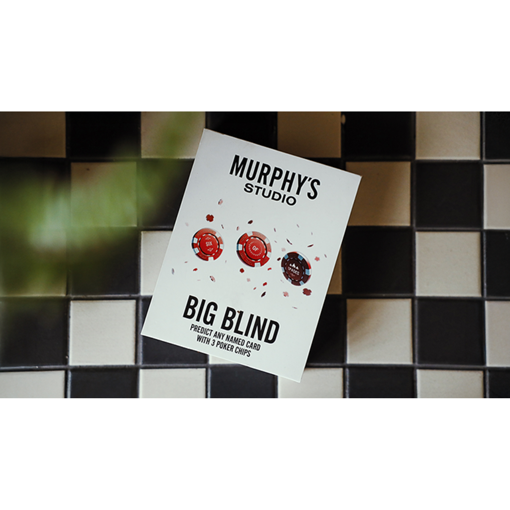The Big Blind by Craig Petty