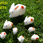 The Bunnies! 3D Rabbits (Parents, Kids & Grandpa)