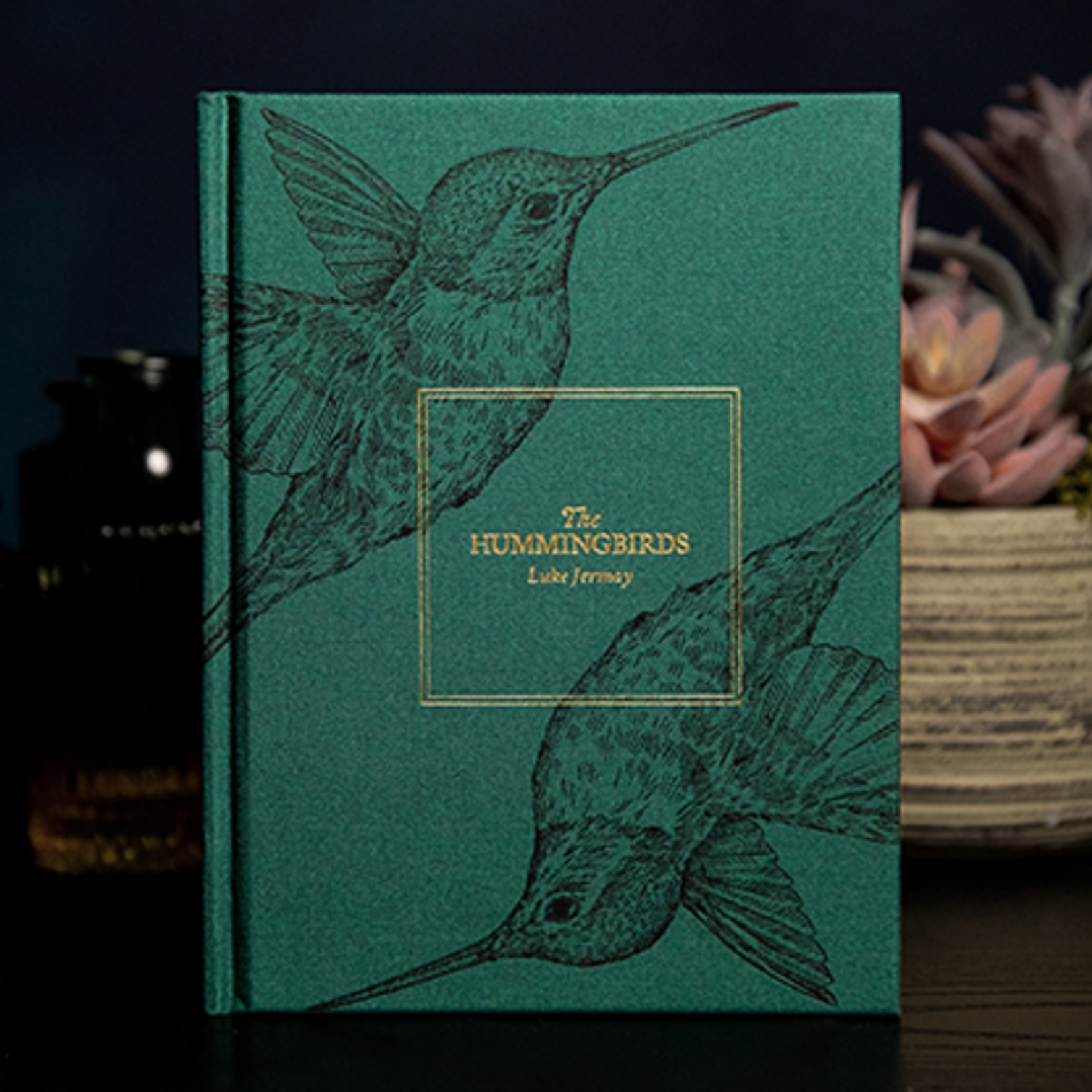 The Hummingbirds by Luke Jermay