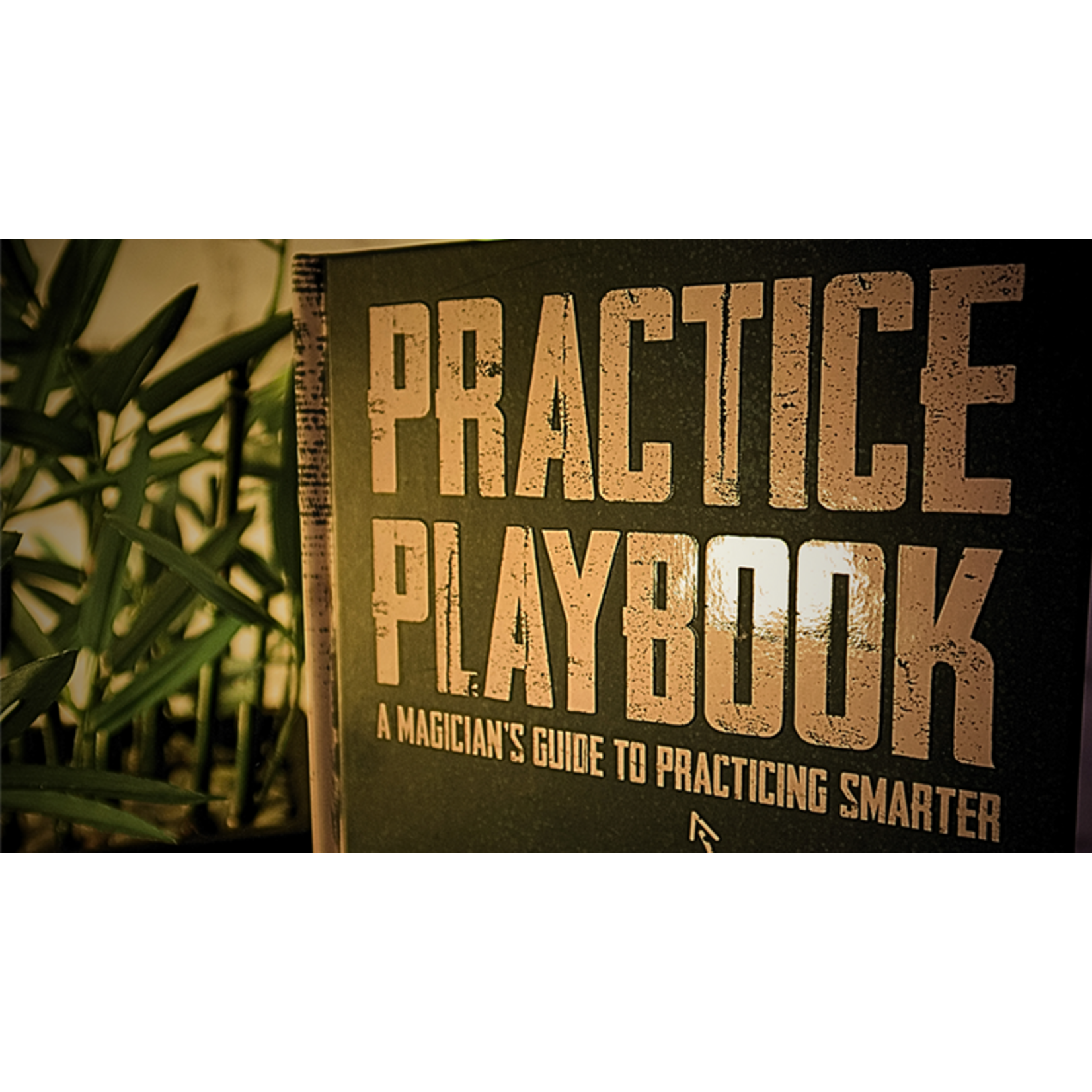 The Practice Playbook by Eric Yuhasz
