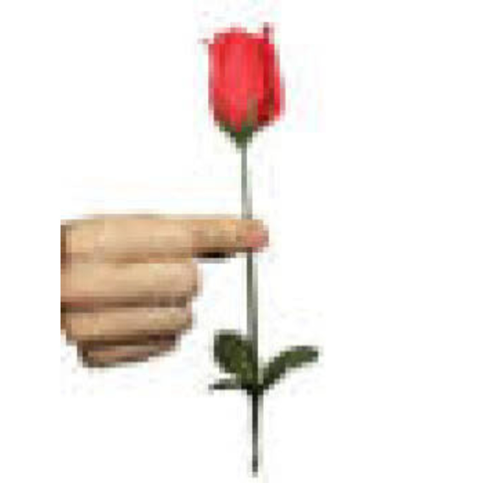 Funtime Torch to rose FT