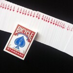 Bicycle Bicycle Forceer Deck Random
