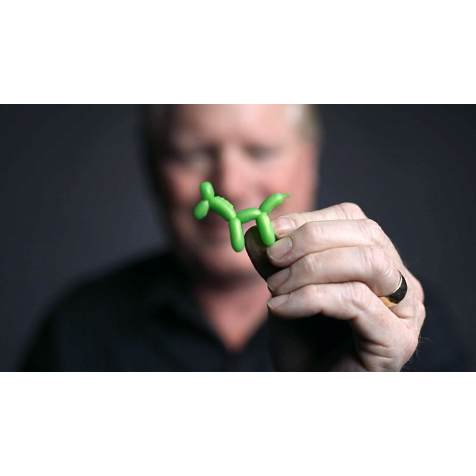 Animinimals