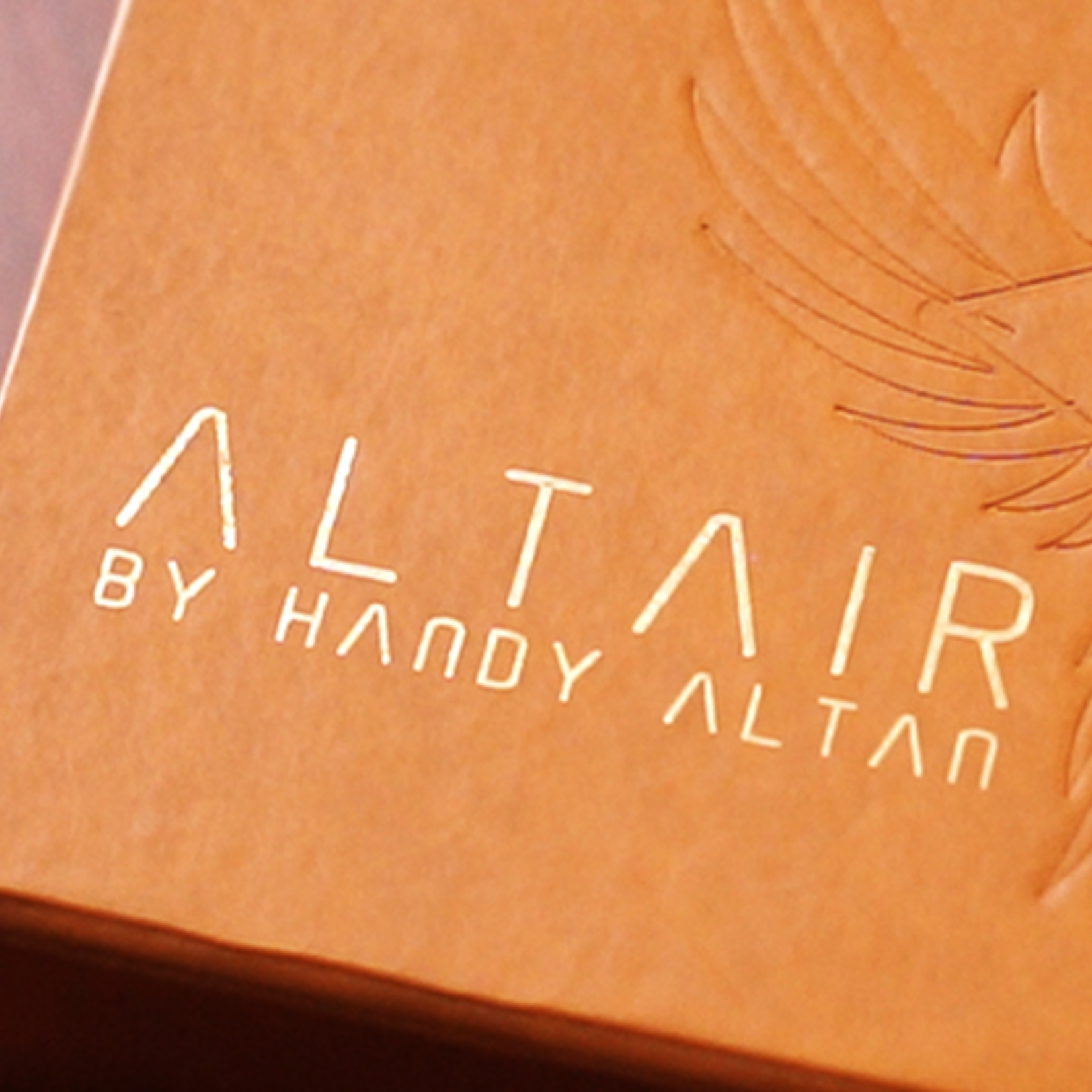 ALTAIR by Handy Altan & Agus Tjiu