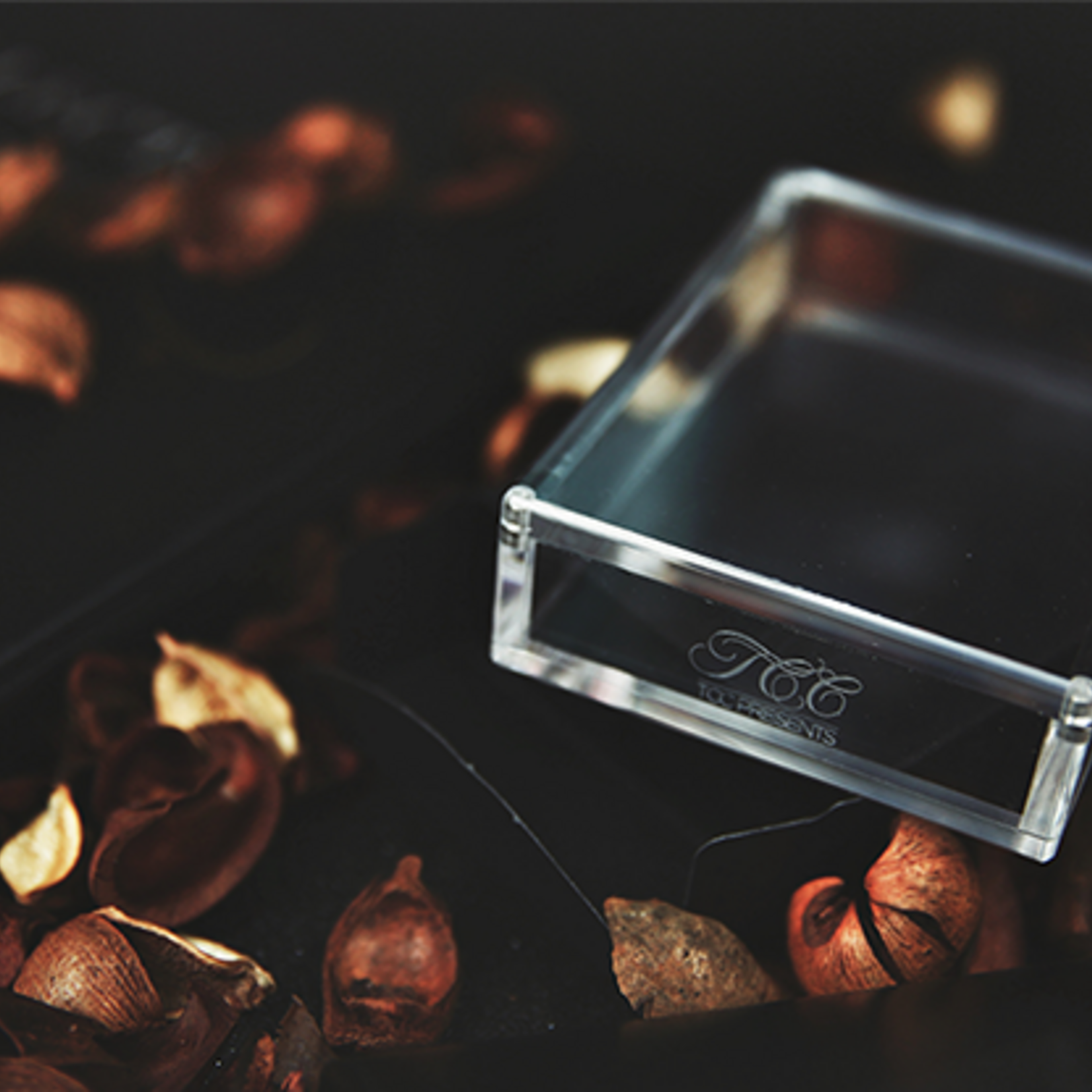 Crystal Playing Card Display 2 Deck Case by TCC