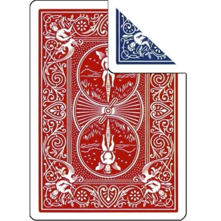 Bicycle Bicycle Double Back