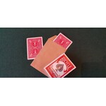 Voorspellings Envelop