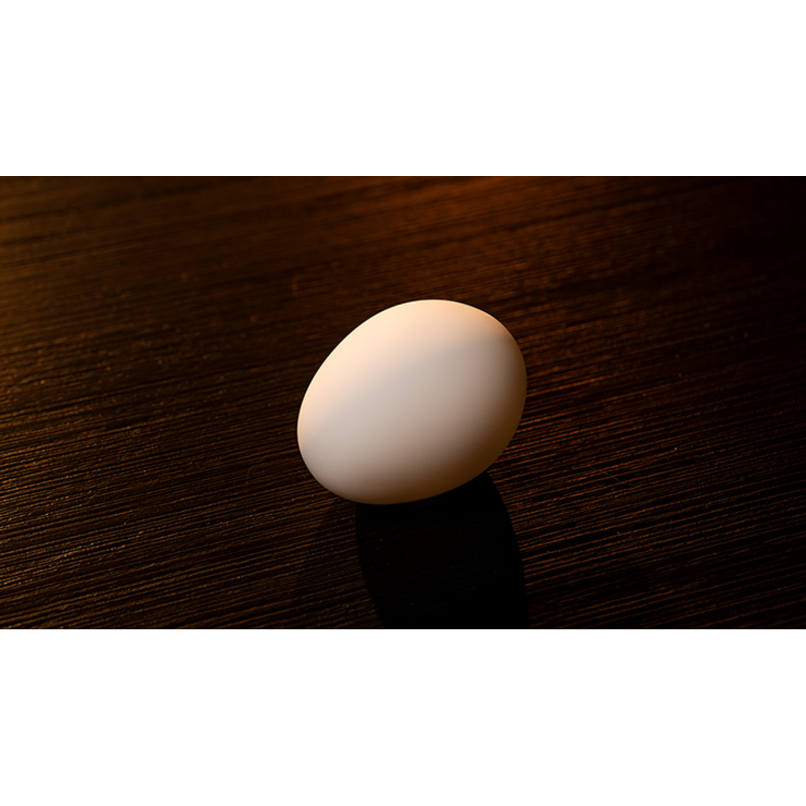 The Egg by Murphy's Magic