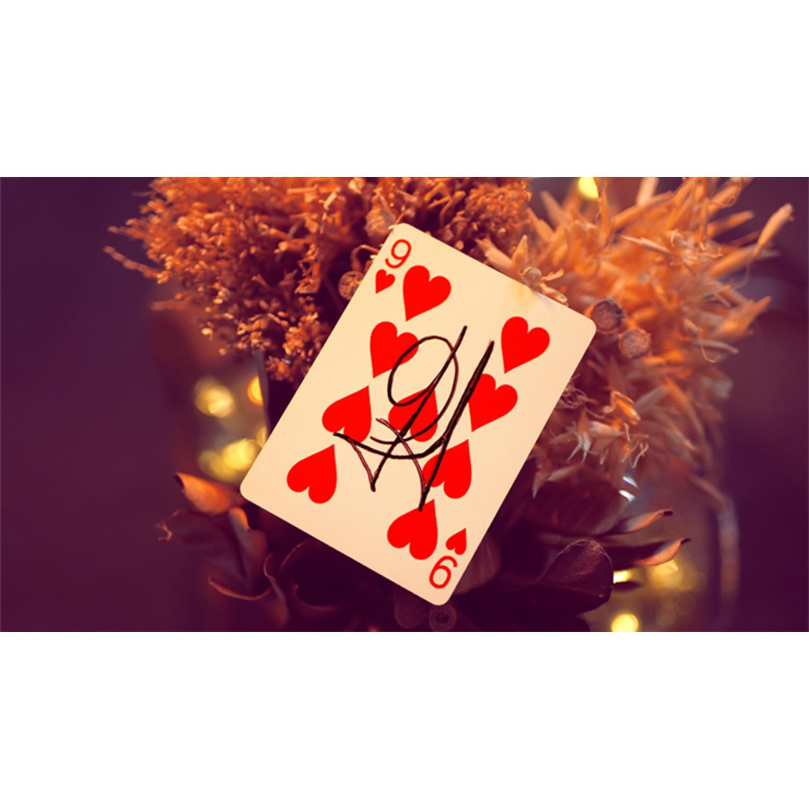 Bicycle My Power Deck by Jordan Victoria