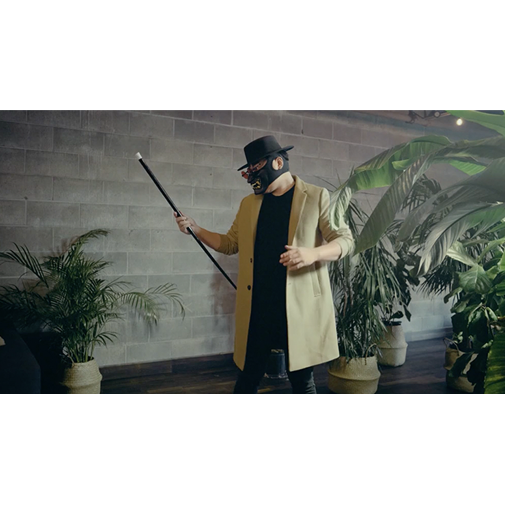Vanishing Cane (Stage) by Bojan Barisic and Stage Elegance