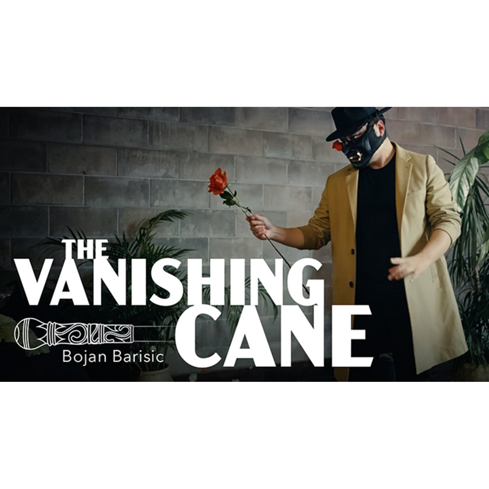 Vanishing Cane (Stage) by Bojan Barisic and Stage Elegance