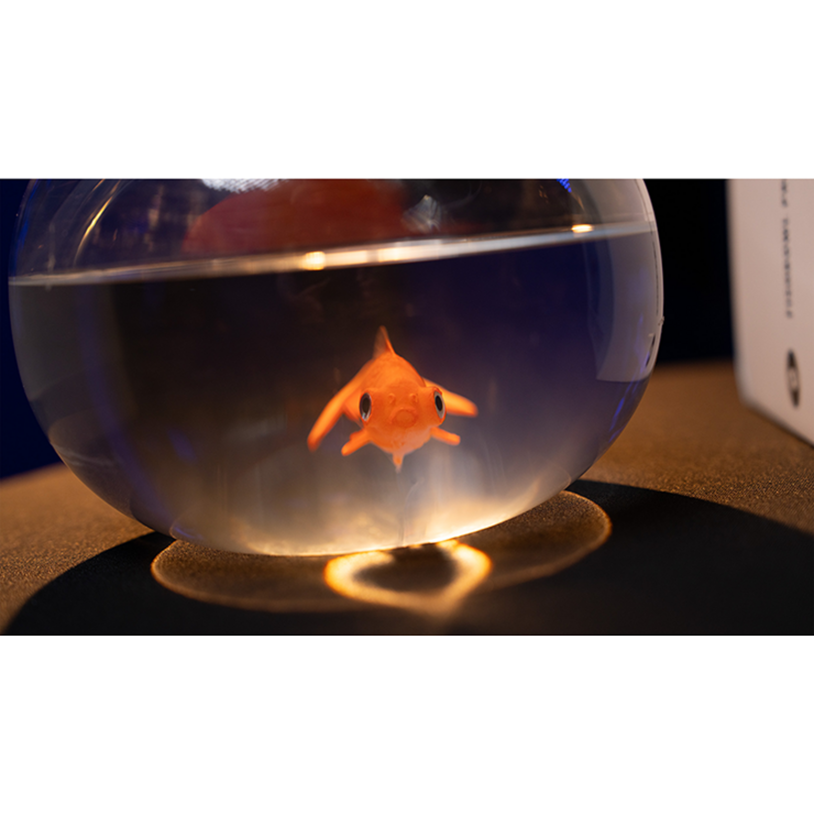 Fish Bowl Production by Murphy's Magic