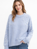 CASH & CARRY  KLEDING 2026 Jan-mei Trui Pearl AM1042