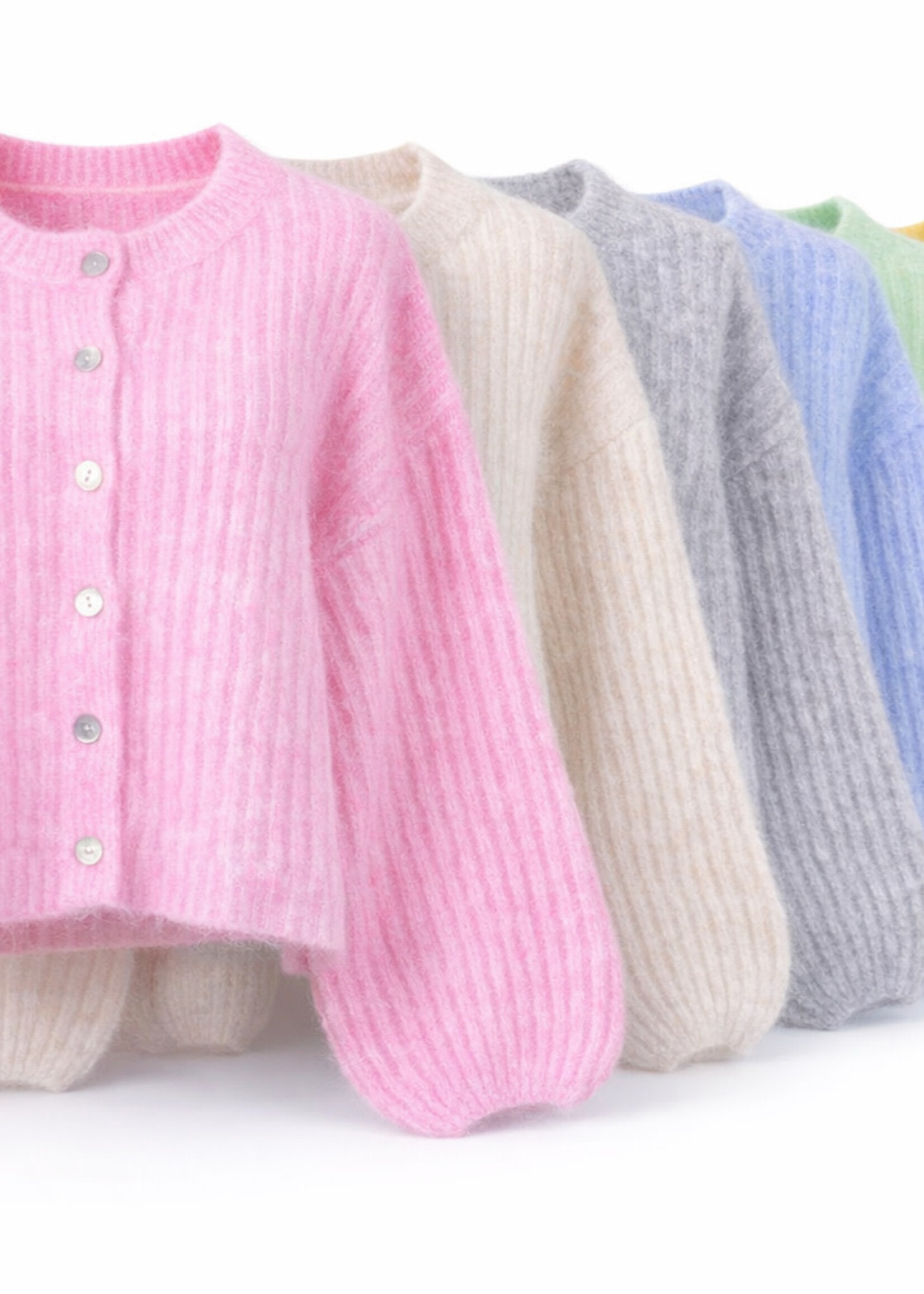 CASH & CARRY  KLEDING 2026 Jan-mei Vestje Jiska JP8399