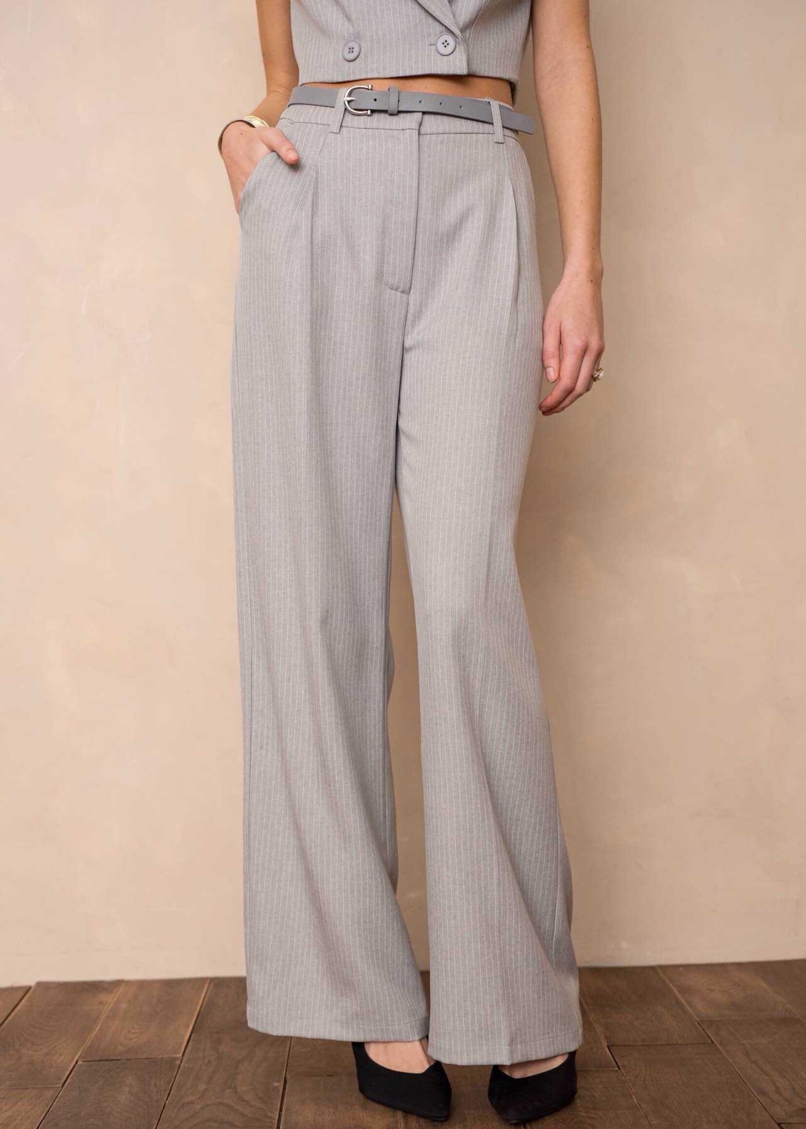 Broek Light Grey V331