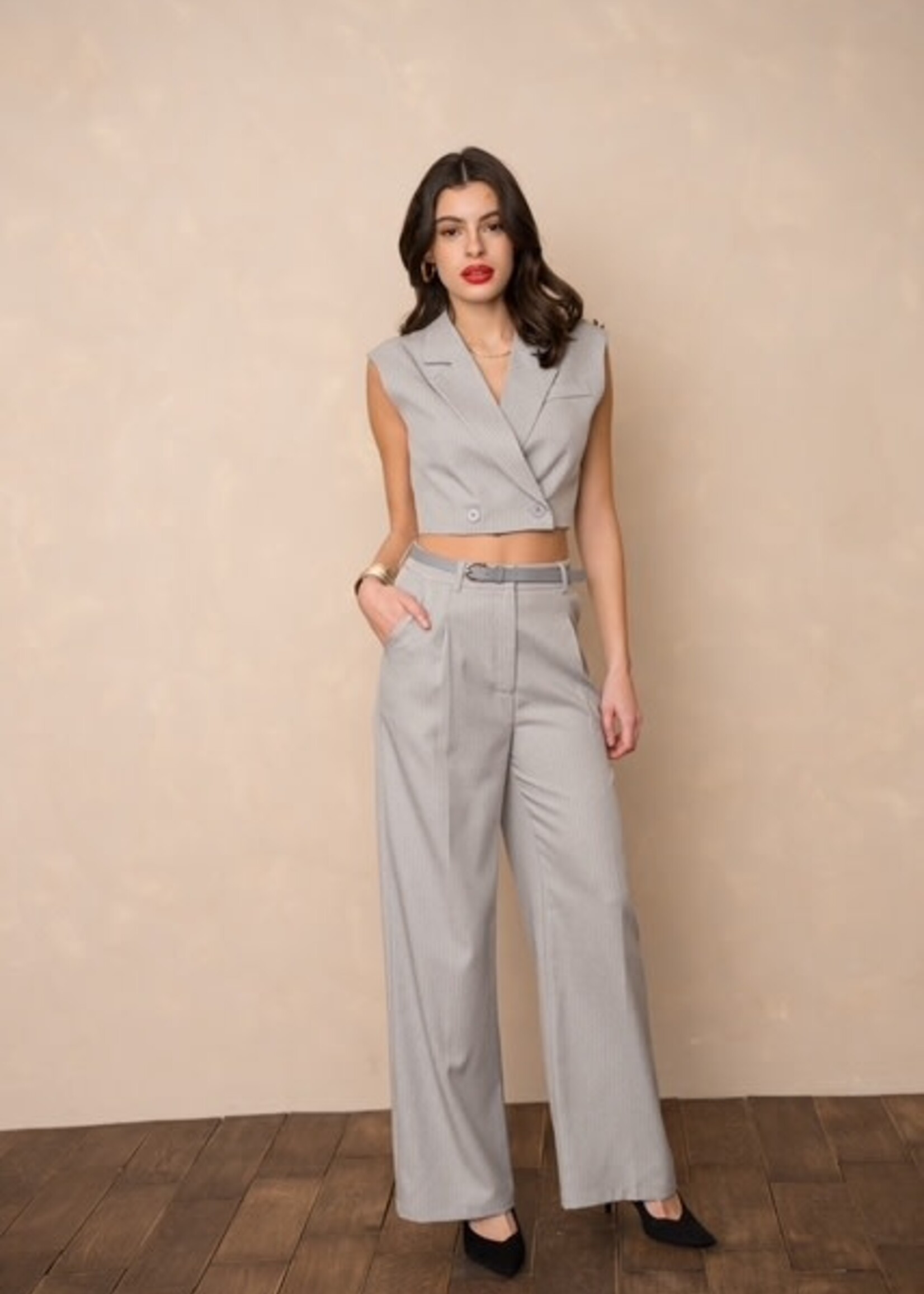 Broek Light Grey V331