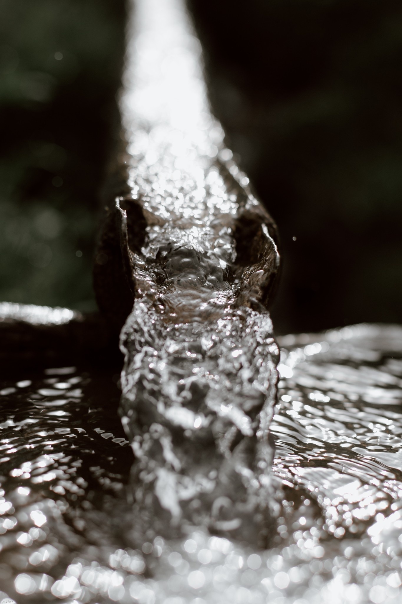 Het water is bruin, roodachtig of zelfs zwart van kleur?