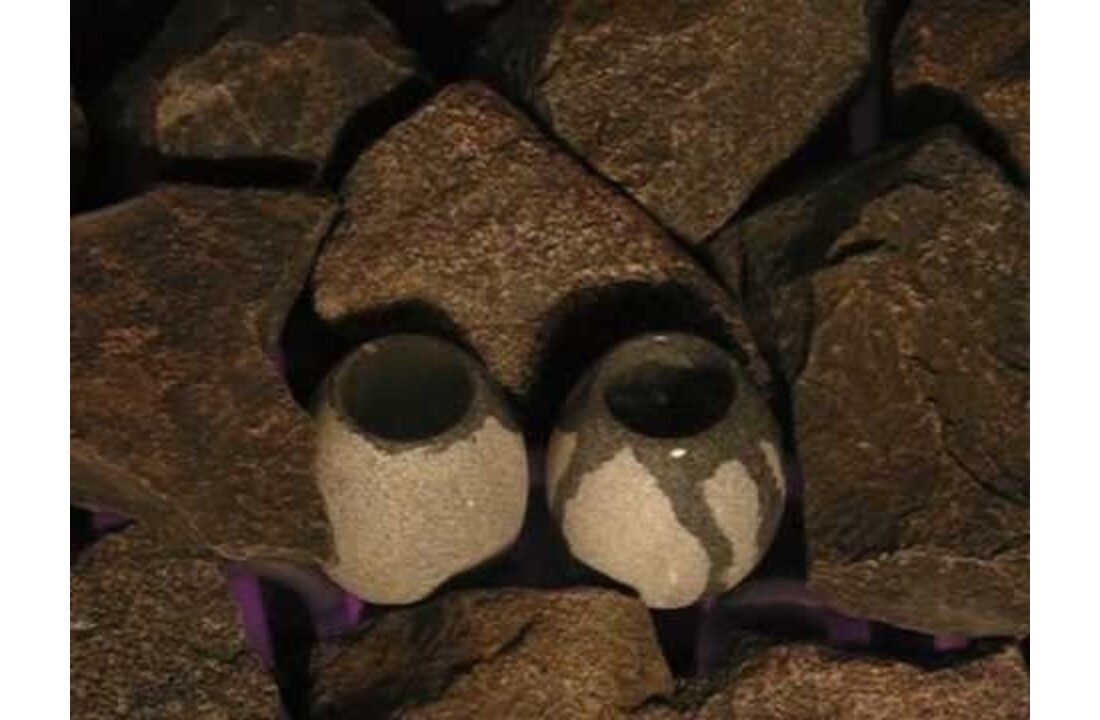 Hukka Saunakko speksteen saunacup geurdosering