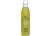 inSPAration Wellness - Uplifting Peppermint Eucalyptus 245 ml