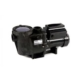 Pentair Intelliflo Whisperflo VSF Zwembadpomp