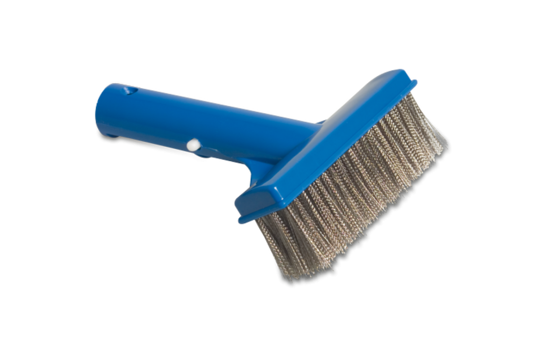 Zwembad Wandborstel  Met RVS Haren 25 cm