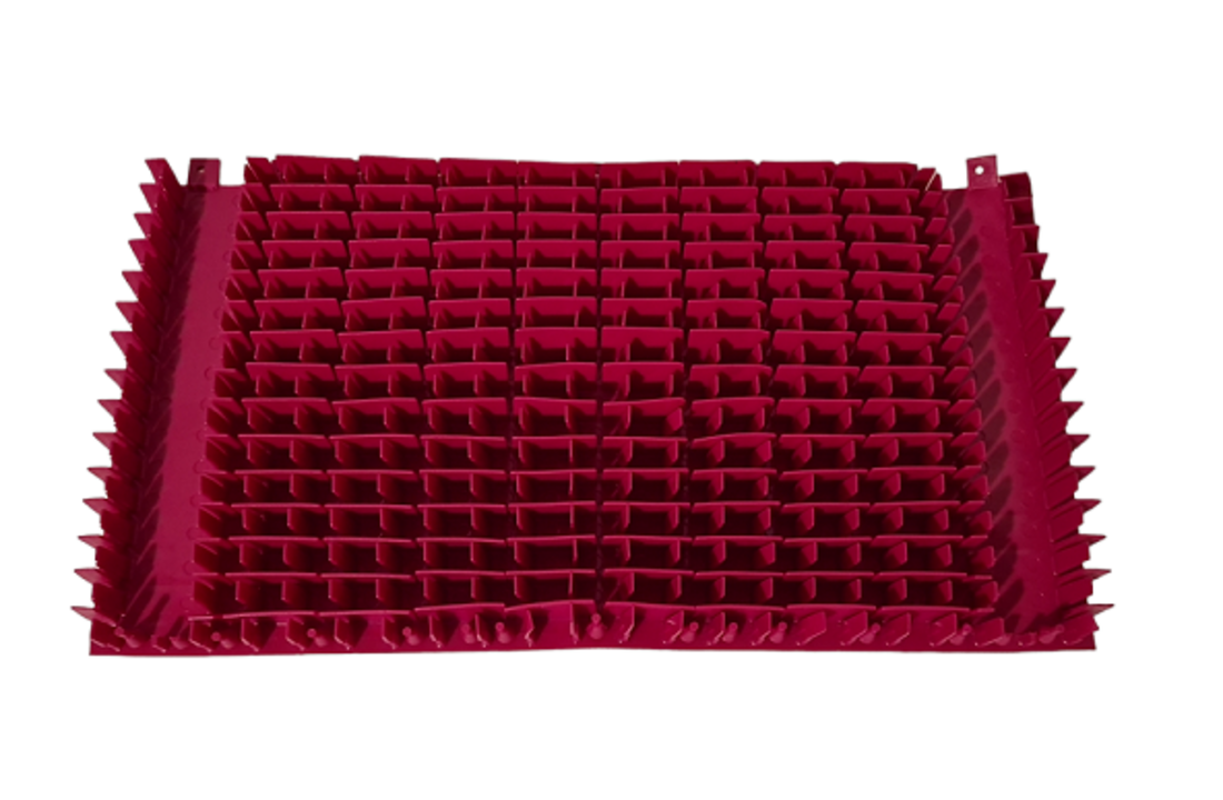 Dolphin 2001 en dynamic Pvc Borstel Magenta