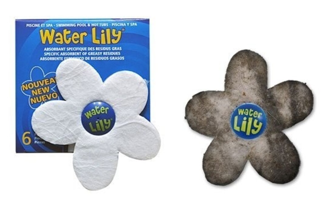 Water Lily Spons Doos met 6 Stuks