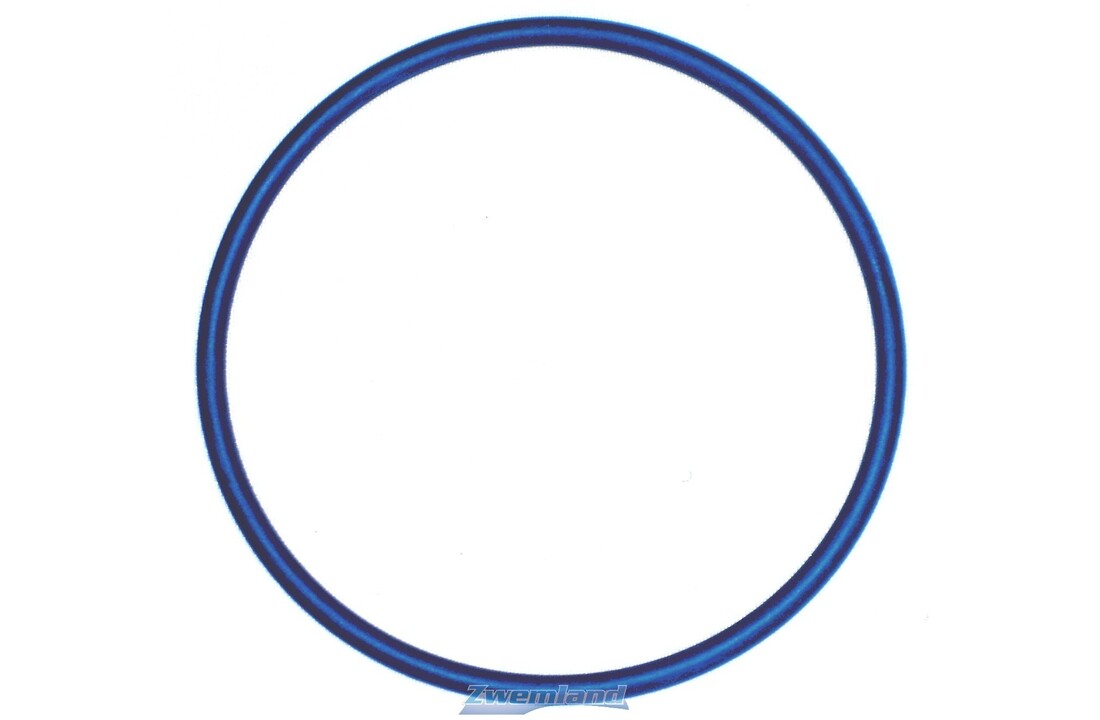 Hayward O-ring voor Zeswegklep Topmount Filters S166T, 180T, 210T, 220T