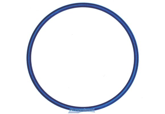 Hayward O-ring voor Zeswegklep Topmount Filters S166T, 180T, 210T, 220T