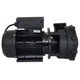 LX LP150 Massage Pomp 1-spd 1,5hp