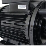 LX LP300 Massage Pomp 1-spd 3,0hp