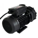 LX LP300 Massage Pomp 1-spd 3,0hp