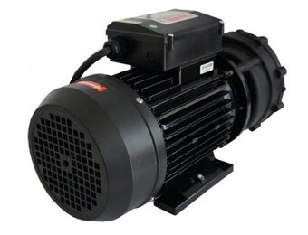LX WP200-II Massage Pomp 2-spd 2,0hp