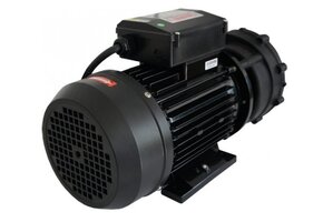 LX WP300-II Massage Pomp 2-spd 3,0hp