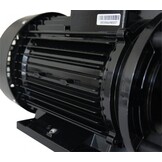 LX WP300-II Massage Pomp 2-spd 3,0hp