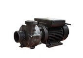Balboa Niagara 3hp 2-spd Massage Pomp