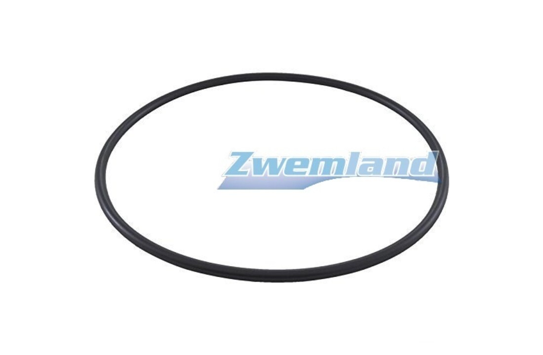 Hayward Topmount Filter Deksel O-ring GMX0600F
