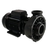 Waterway Viper 1-spd 5,0hp 56 frame Spa Pomp 220V