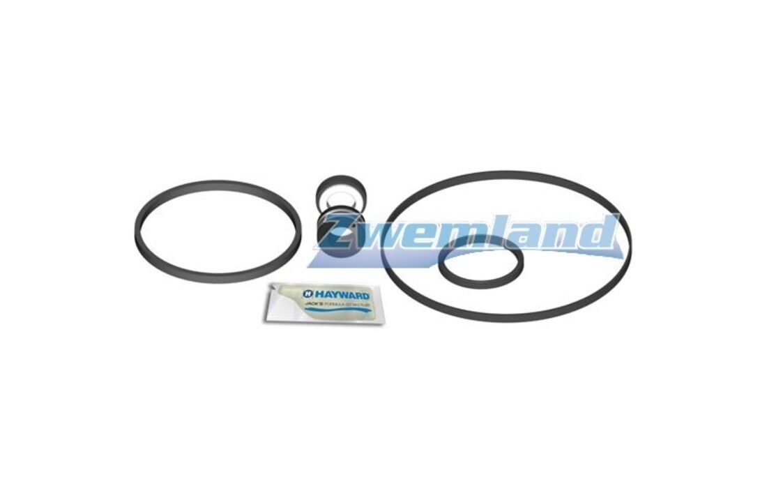 Hayward Max Flo Pomp complete pakking set