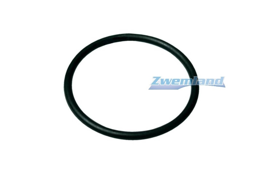 Starline SL Zwembadpomp O-ring