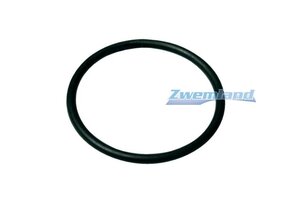 Starline SL Zwembadpomp O-ring