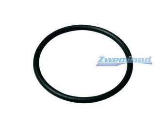 Starline SL Zwembadpomp O-ring