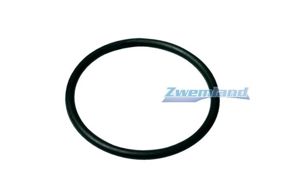 Starline SL Zwembadpomp O-ring