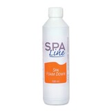 SpaLine Spa Foam Down (+ sprayer)